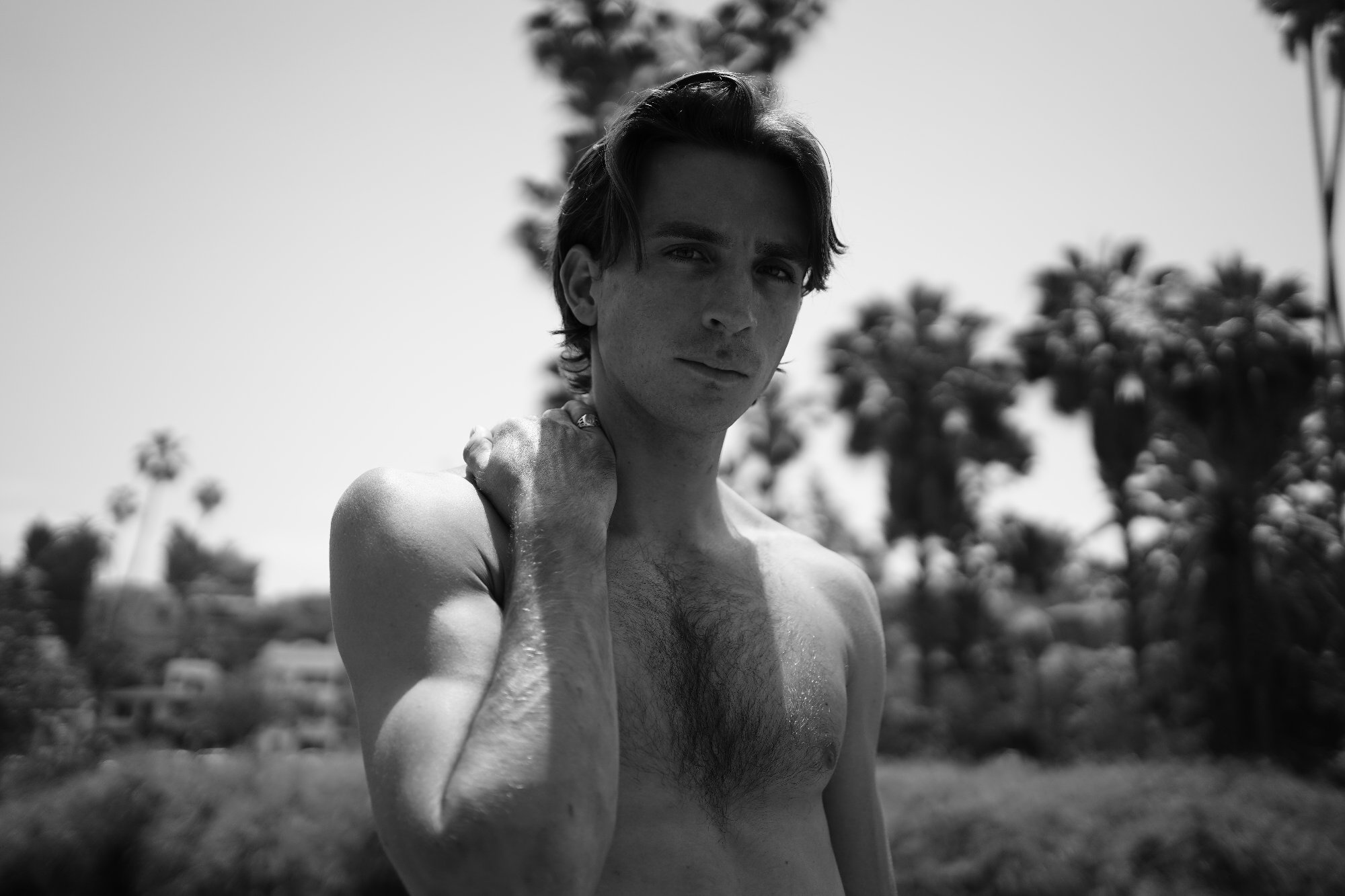 Artist: Stefanos Stoik